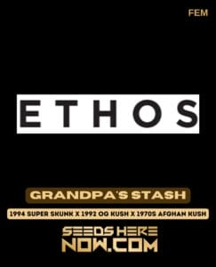 Grandpa's Stash (Feminized) (space) Ethos Genetics