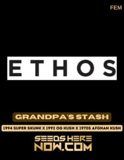 Ethos Genetics - Grandpa's Stash {FEM} Classic PackagingEthos Genetics - Grandpa's Stash {FEM} Classic Old Packaging