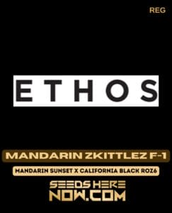 Mandarin Zkittlez F-1 (regular) - Ethos Genetics