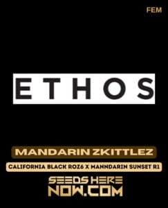 Mandarin Zkittlez (feminized) - Ethos Genetics