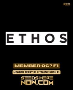 Member OG? (Regular) (space) Ethos Genetics