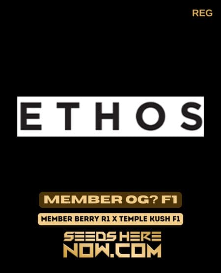 Ethos Genetics - Member Og? F1 {reg} [10pk] Classic Old Packaging