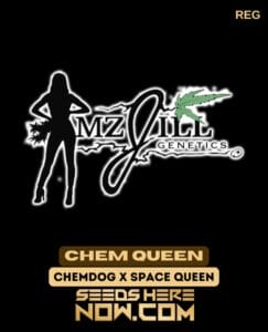 Chem Queen (regular) - Mz Jill Genetics