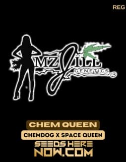 Chem Queen (Regular) - Mz Jill GeneticsChem Queen (Regular) - Mz Jill Genetics