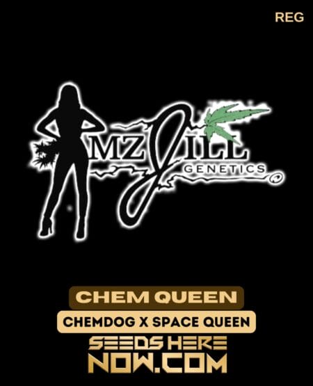 Mz Jill Genetics - Chem Queen {reg} [5pk]