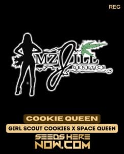 Cookie Queen (regular) - Mz Jill Genetics