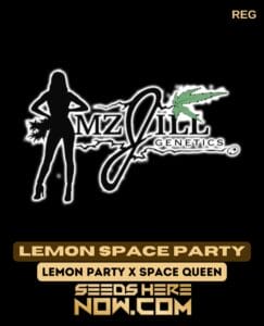 Lemon Space Party (regular) - Mz Jill Genetics