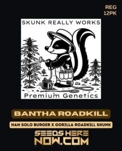 Bantha Roadkill (Regular) - Skunk Really Works