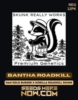 Skunk Really Works - Bantha Roadkill {REG} [12pk]Skunk Really Works - Bantha Roadkill {REG} [12pk]