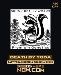 Death by Yoda (regular) - Skunk Really Works