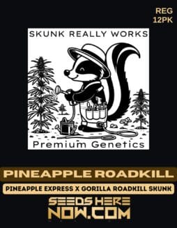 Skunk Really Works - Pineapple Roadkill {REG} [12pk]Skunk Really Works - Pineapple Roadkill {REG} [12pk]