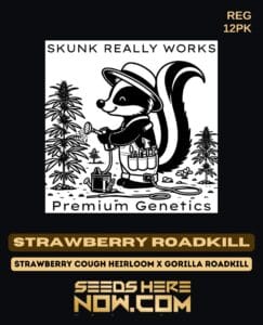 Strawberry Roadkill (Regular) - Skunk Really Works