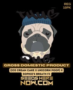 Gross Domestic Product (regular) - Thug Pug Genetics
