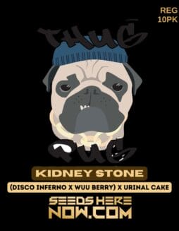 Thug Pug Genetics - Kidney Stone {REG} [10pk]Thug Pug Genetics - Kidney Stone {reg} [10pk]