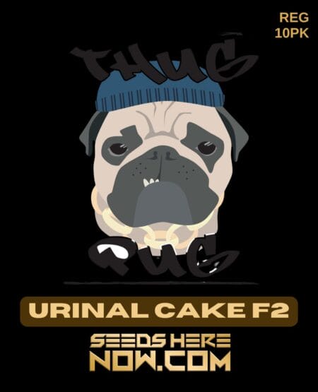 Thug Pug Genetics - Urinal Cake F2 {reg} [10pk]