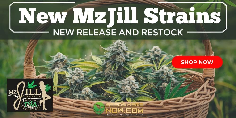 Mz Jill new drop