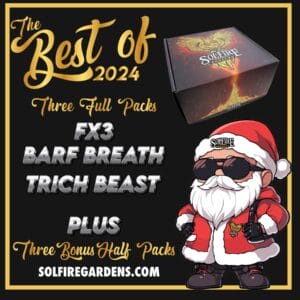 Best of 2024 Box Set (Feminized) - Solfire Gardens