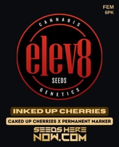 Inked Up Cherries (feminized) - Elev8 Seeds
