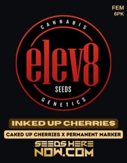 Inked Up Cherries (Feminized) - Elev8 SeedsInked Up Cherries (Feminized) - Elev8 Seeds