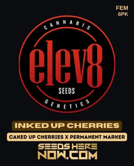 Elev8 Seeds - Inked Up Cherries {fem} [6pk]