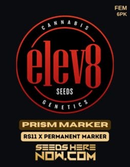 Elev8 Seeds - Prism Marker {FEM} [6pk]Elev8 Seeds - Prism Marker {fem} [6pk]