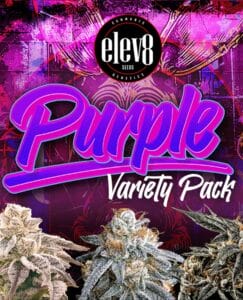 Purple Variety Pack (feminized) - Elev8 Seeds