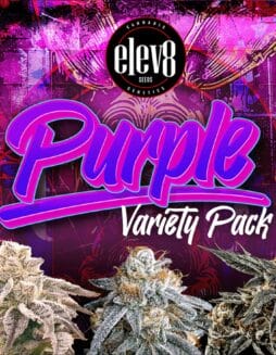 Elev8 Seeds - Purple Variety Pack {FEM} [6pk]Elev8 Seeds - Purple Variety Pack {FEM} [6pk]