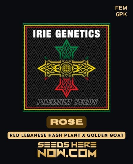 Irie Genetics - Rose {fem} [6pk]