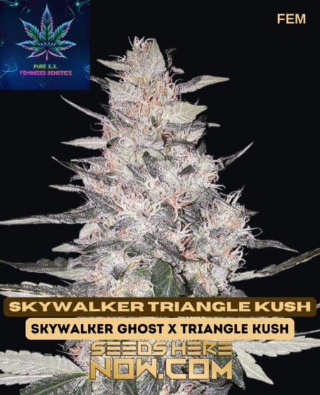 Pure Xx - Skywalker Triangle Kush {fem}