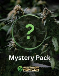 Mystery Seed PackMystery Pack