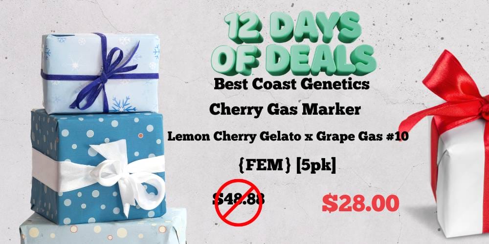 12 Days of Deals