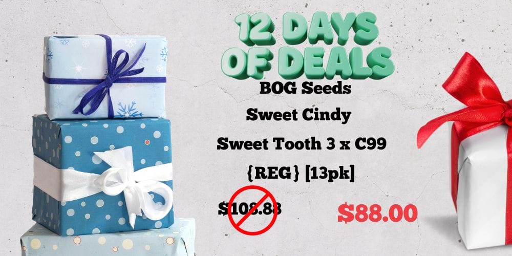 12 Days of Deals