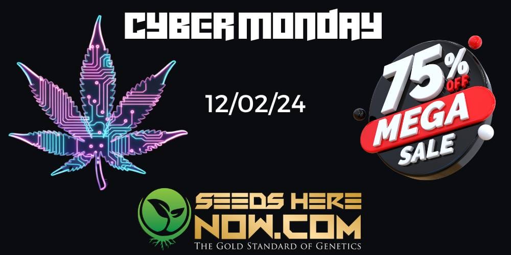 Cyber Monday Sales