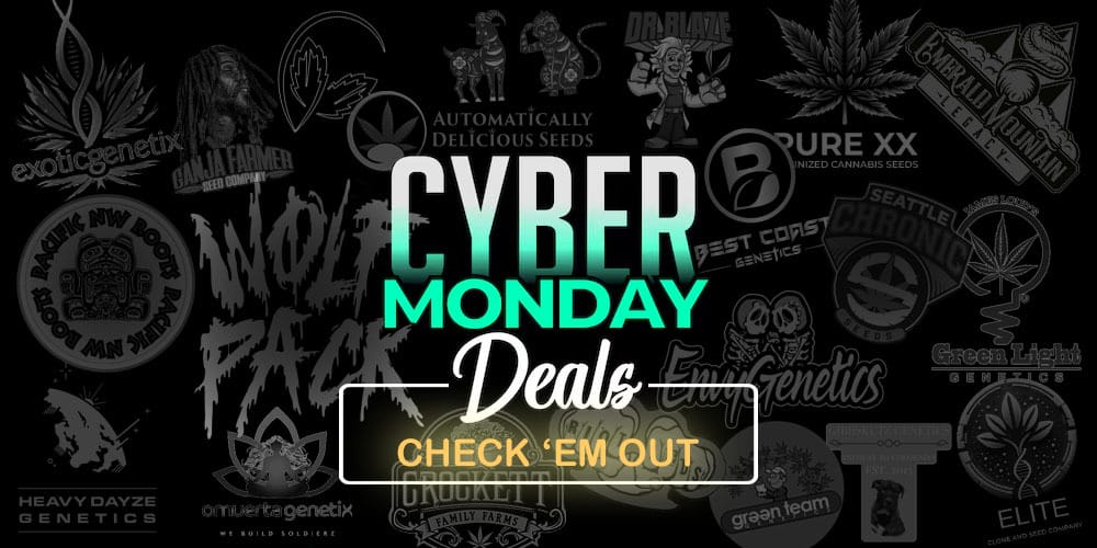 Cyber Monday