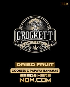 Dried Fruit (feminized) - Crockett Family Farms