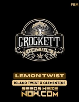 Crockett Family Farms - Lemon Twist {FEM} [6pk]Crockett Family Farms - Lemon Twist {FEM} [6pk]