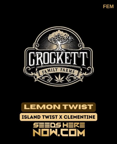 Lemon Twist (Feminized) (space) Crockett Family Farms