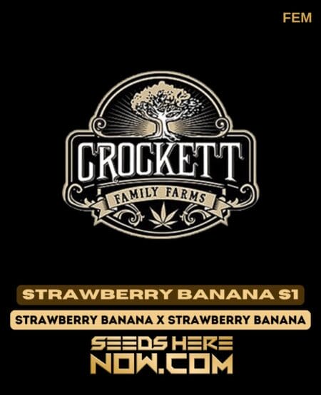 Crockett Family Farms - Strawberry Banana S1 {fem} [6pk]