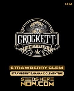 Strawberry Clem (Feminized) - Crockett Family Farms