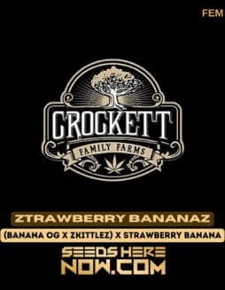 Crockett Family Farms - Ztrawberry Bananaz {FEM} [6pk]Crockett Family Farms - Ztrawberry Bananaz {FEM} [6pk]