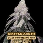 Battle Axe R1 (Feminized) - Ethos Genetics