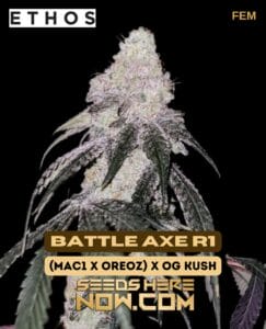 Battle Axe R1 (feminized) - Ethos Genetics