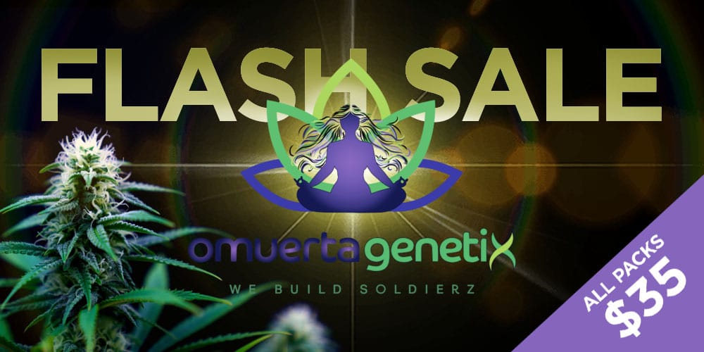 Omuerta Genetix flash sale