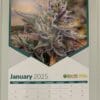 2025 - Large Shn Wall Calendar