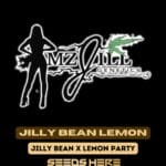 Jilly Bean Lemon (Feminized) - Mz Jill Genetics