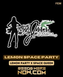 Lemon Space Party (feminized) - Mz Jill Genetics