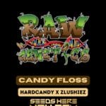 Candy Floss (Feminized) - Raw Genetics