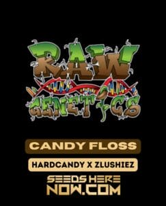 Candy Floss (feminized) - Raw Genetics