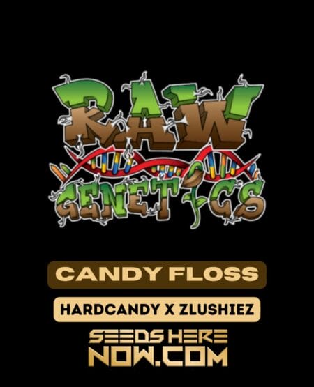 Candy Floss (Feminized) (space) Raw Genetics