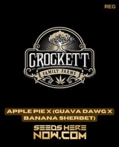 Apple Pie X (guava Dawg X Banana Sherbet) (regular) - Crockett Family Farms